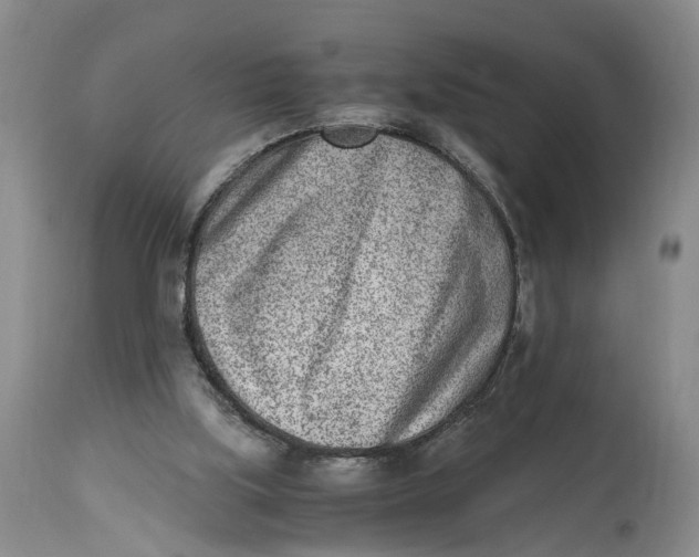 X0000115000059200911161546