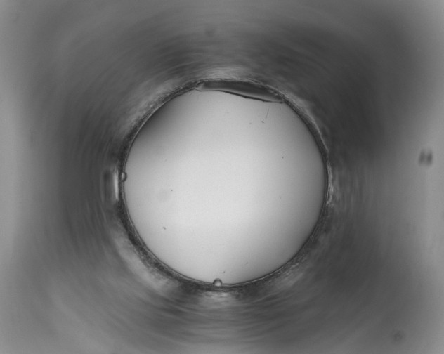 X0000115000061200911161546