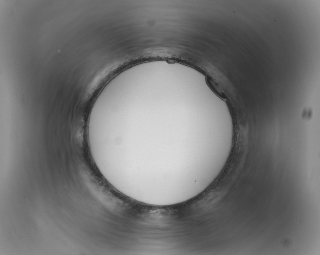 X0000115000064200911161546