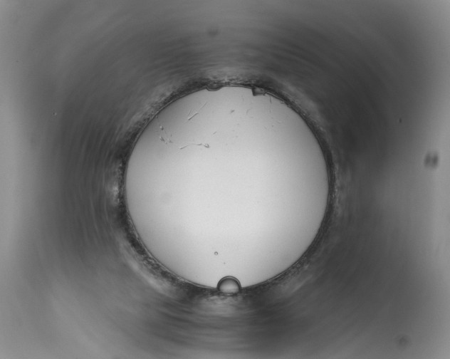 X0000115000065200911161546