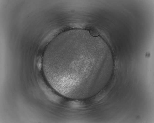 X0000115000069200911161546