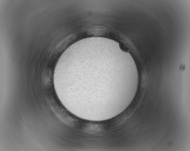 X0000115000073200911161546