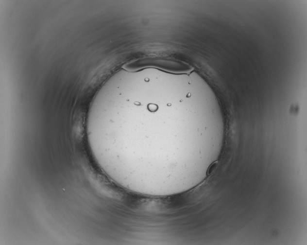 X0000115000074200911161546