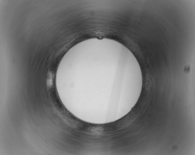 X0000115000075200911161546