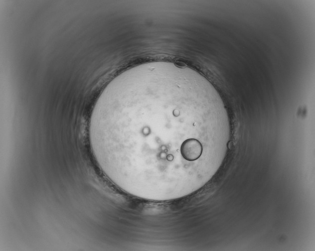 X0000115000077200911161546