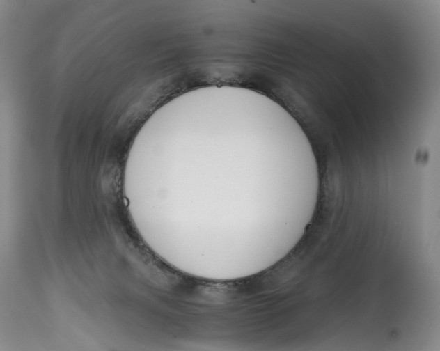 X0000115000079200911161546