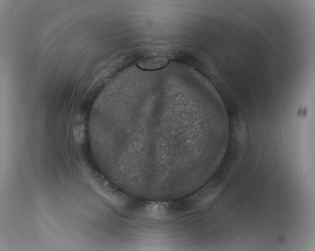 X0000115000080200911161547