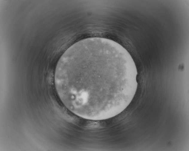 X0000115000083200911161547