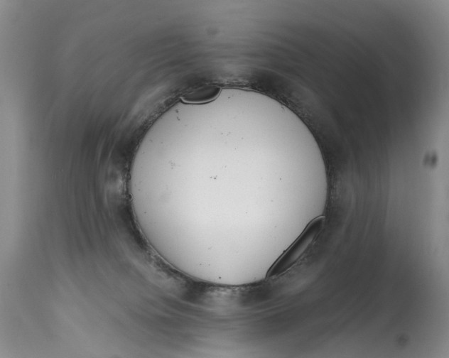 X0000115000084200911161547