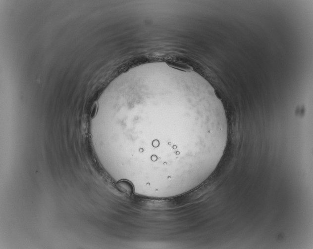 X0000115000085200911161547