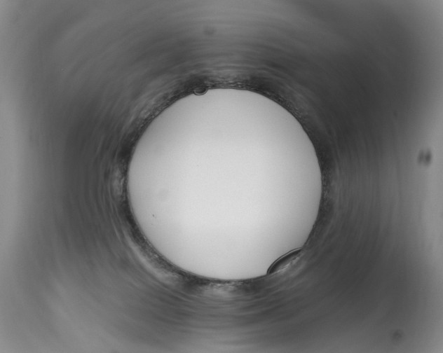 X0000115000086200911161547