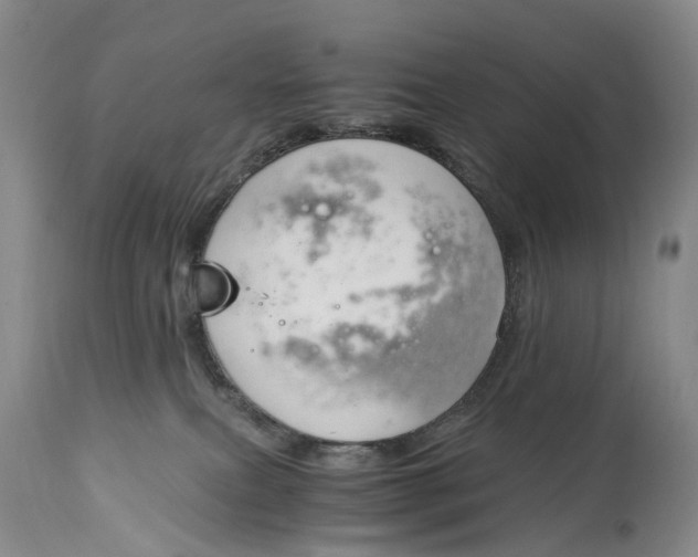 X0000115000087200911161547