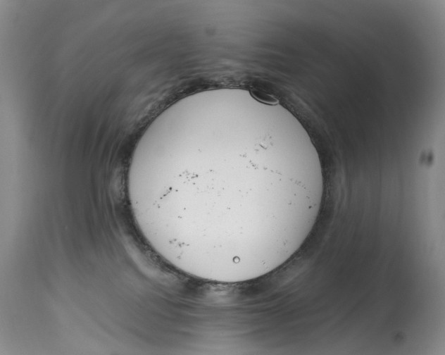 X0000115000088200911161547