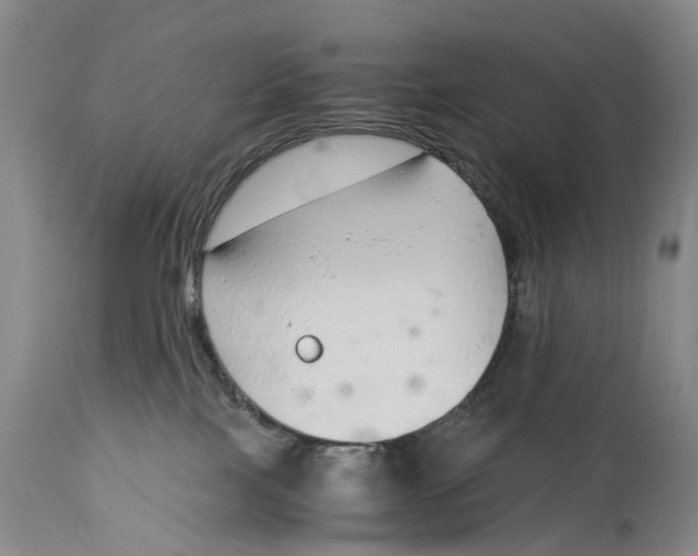 X0000115000089200911161547