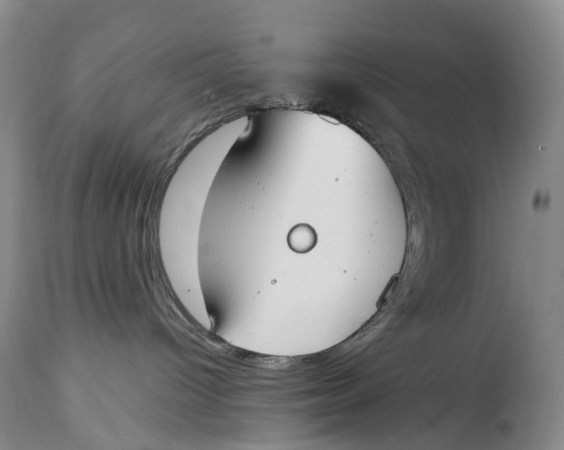 X0000115000096200911161547