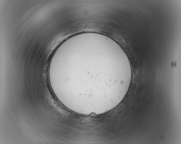 X0000115000098200911161546