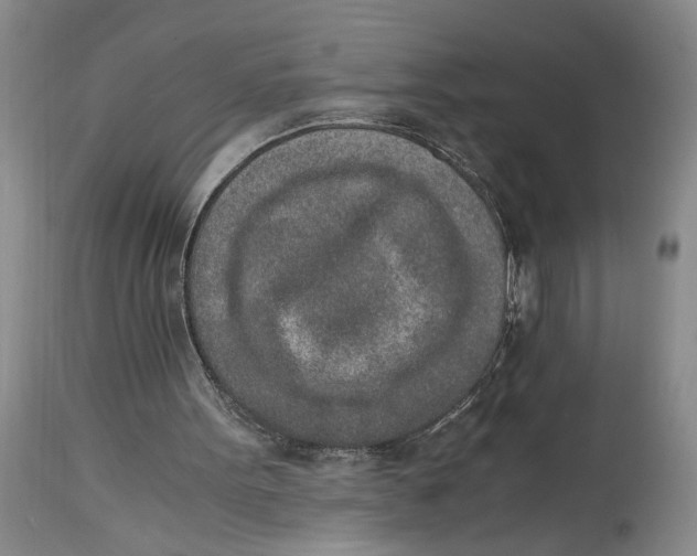 X0000115000099200911161546