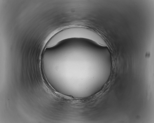 X0000115000100200911161546