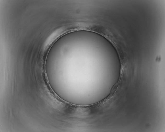 X0000115000101200911161546