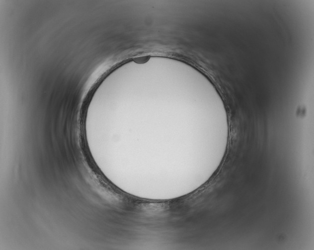 X0000115000102200911161546