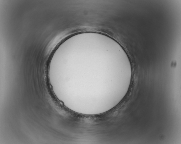 X0000115000103200911161546