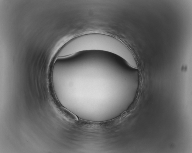 X0000115000104200911161546