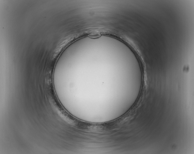 X0000115000105200911161546