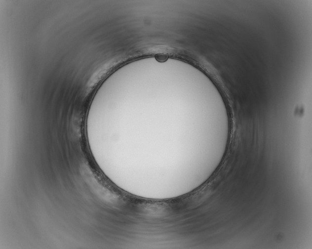 X0000115000106200911161546