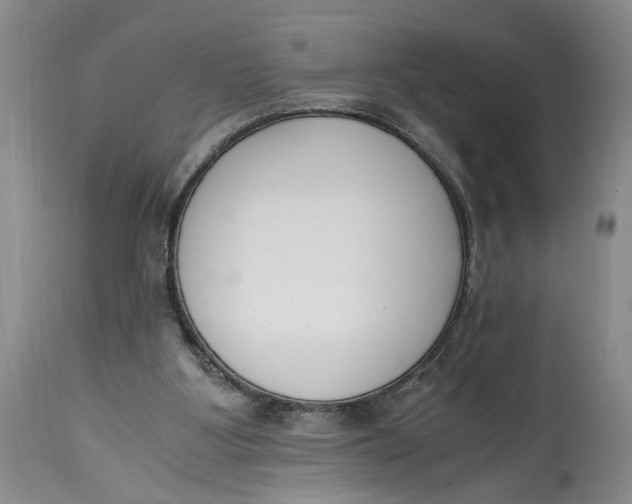 X0000115000107200911161546