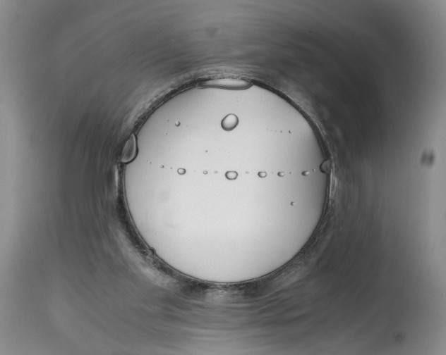 X0000115000109200911161546