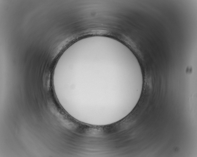 X0000115000110200911161546