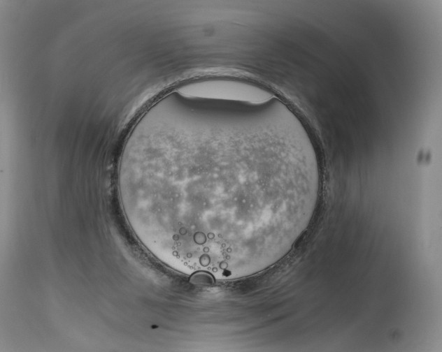 X0000115000111200911161546