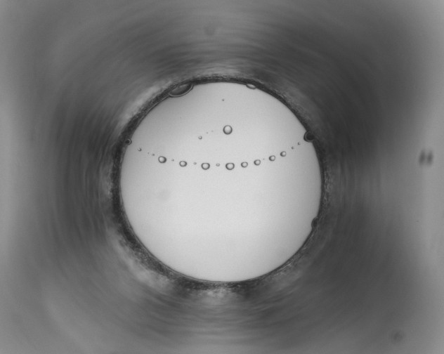 X0000115000112200911161546