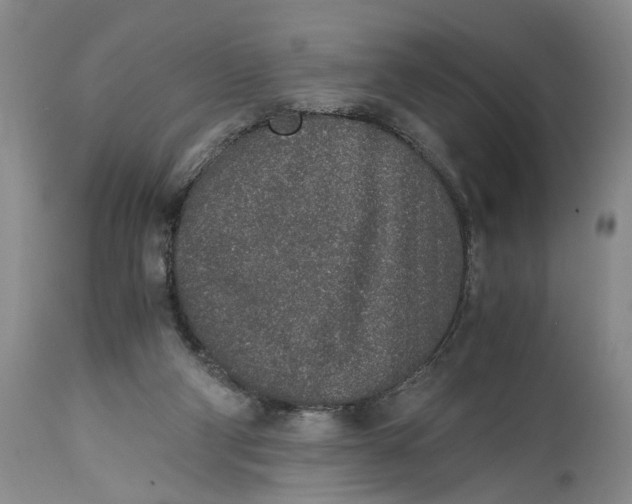 X0000115000114200911161546