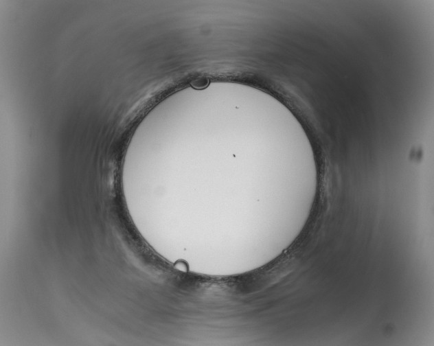 X0000115000115200911161546