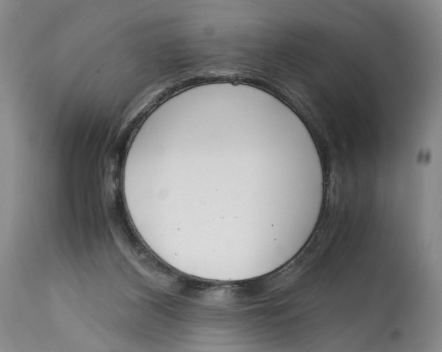 X0000115000116200911161546