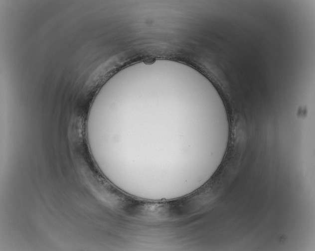 X0000115000117200911161546