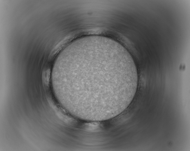 X0000115000118200911161546