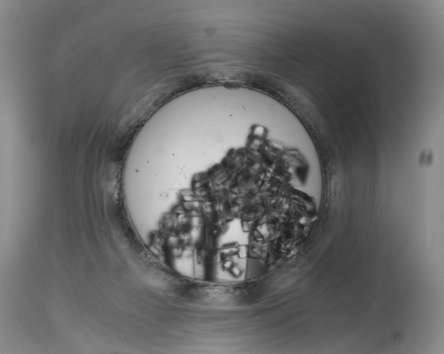 X0000115000121200911161546