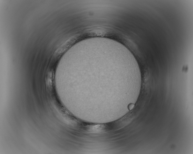 X0000115000122200911161546