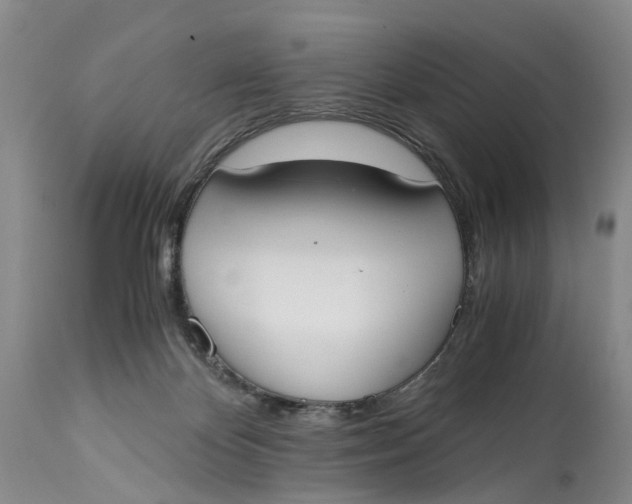 X0000115000124200911161546