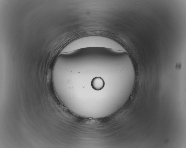 X0000115000125200911161546