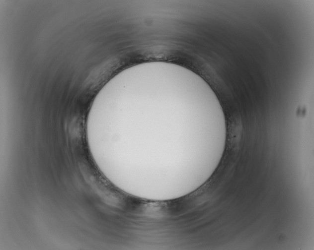 X0000115000126200911161545