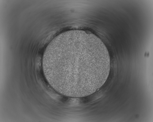 X0000115000127200911161545