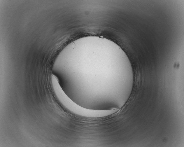 X0000115000128200911161545