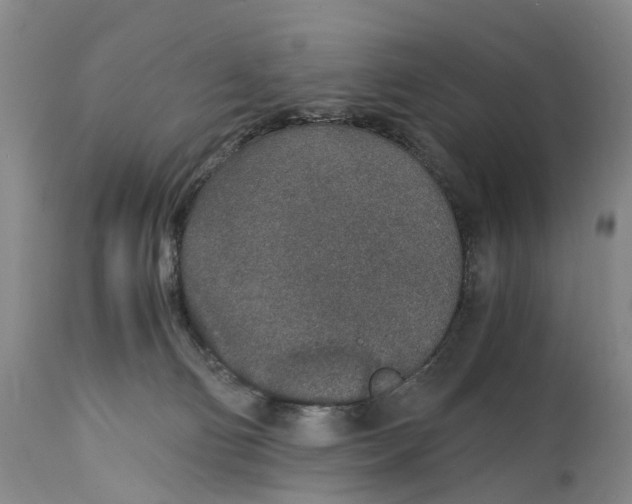 X0000115000130200911161545