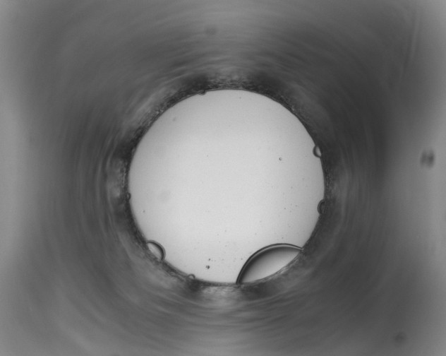 X0000115000133200911161545