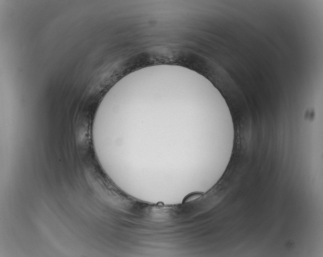 X0000115000134200911161545