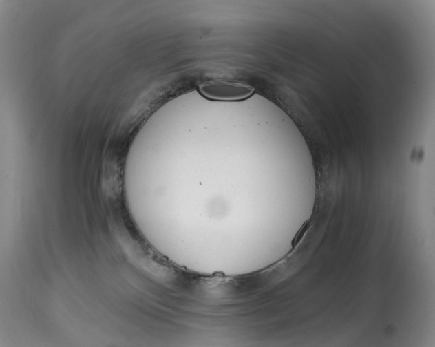 X0000115000136200911161545