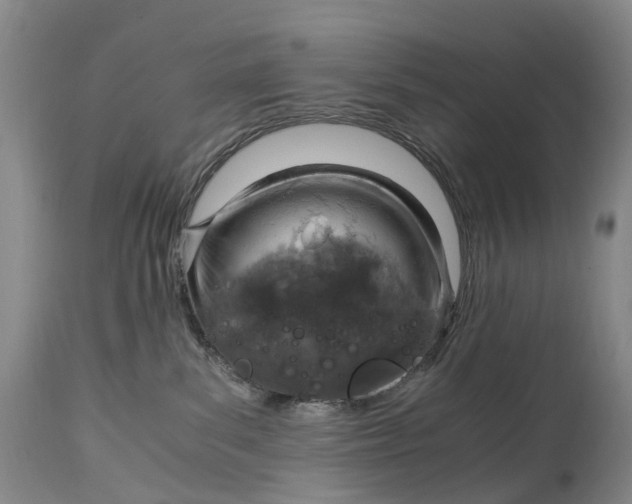 X0000115000139200911161545